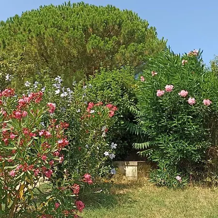 Tres Calme Montélimar